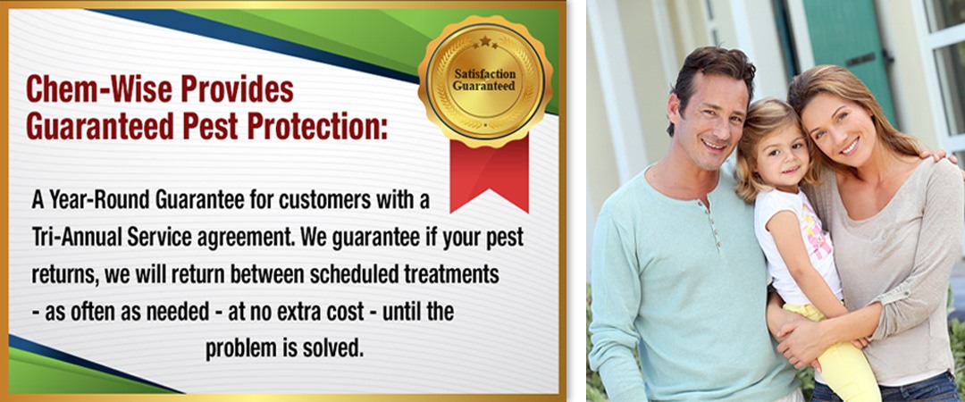 Chem-Wise provides guaranteed pest protection: A Year-Round Guarantee for customers with a Tri-Annual Service agreement. We guarantee if your pest returns, we will return between scheduled treatments - as often as needed - at no extra cost - until the problem is solved.
