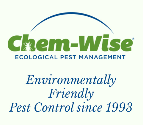 Home Mobile Header Image