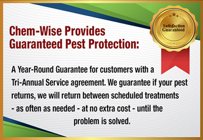 Chem-Wise provides guaranteed pest protection: A Year-Round Guarantee for customers with a Tri-Annual Service agreement. We guarantee if your pest returns, we will return between scheduled treatments - as often as needed - at no extra cost - until the problem is solved.